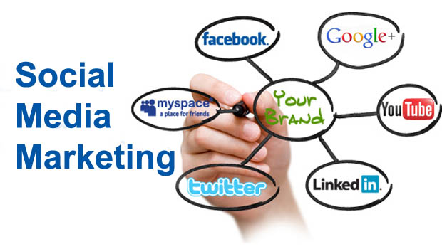 Social Media Management Services in Phoenix, SMM Services, Best Social Media Marketing Company in India